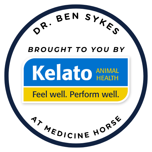 Free Clinic: Equine Gastric Ulcer Prevention with Dr. Ben Sykes - logo